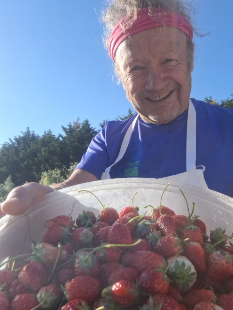 Philippe Michelot lors de la récolte des fraises bio au potager du Mas des Figues, savoir-faire artisanal à Saint-Rémy-de-Provence