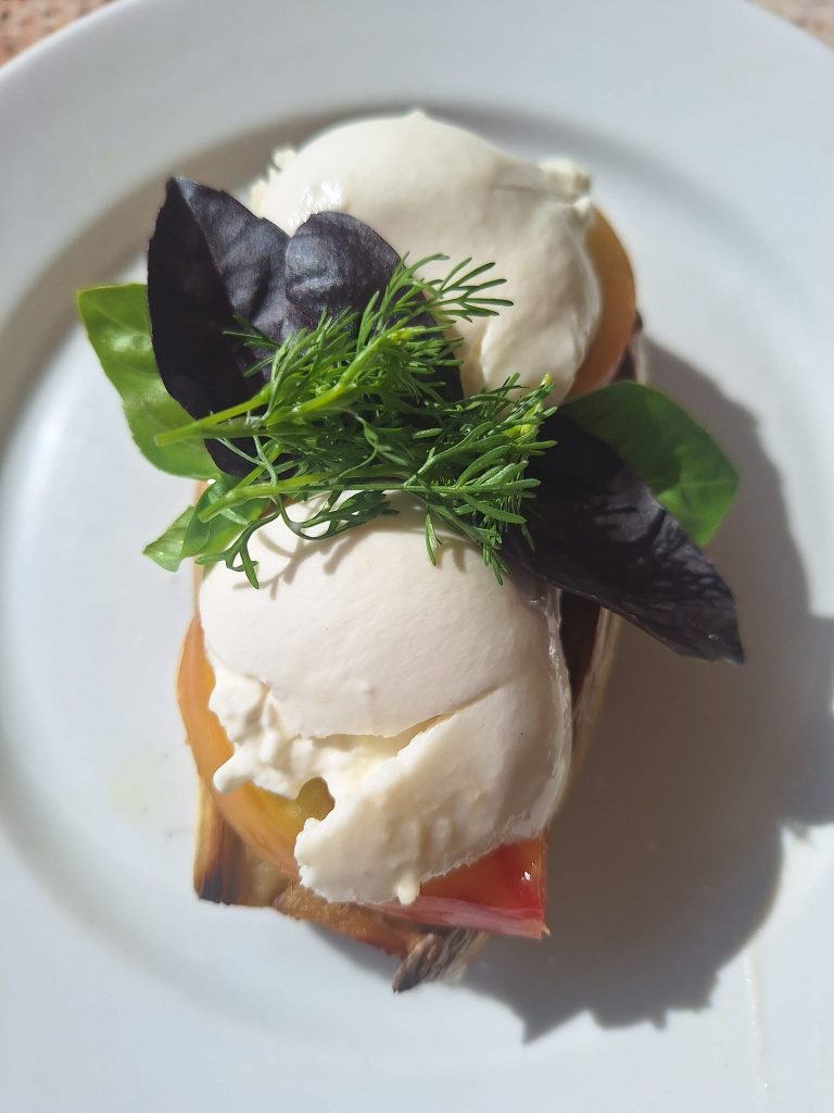 Tomate ancienne, mozzarella et basilic du jardin au Mas des Figues, salade caprese garden-to-table à Saint-Rémy-de-Provence