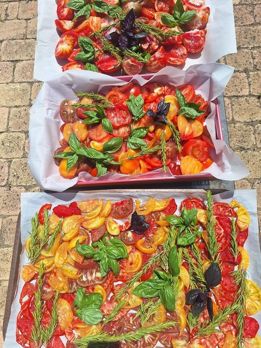Tomates anciennes rôties au basilic et romarin du jardin au Mas des Figues, recette garden-to-table à Saint-Rémy-de-Provence