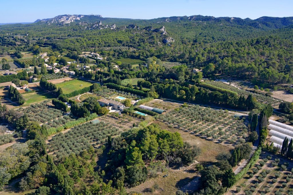 Vue aérienne du domaine du Mas des Figues à Saint-Rémy-de-Provence — oliveraie, potager bio et collines des Alpilles